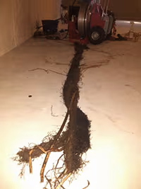 Drain Debris 1