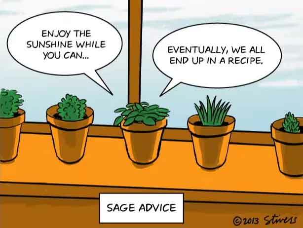 Sage Advice Graphic